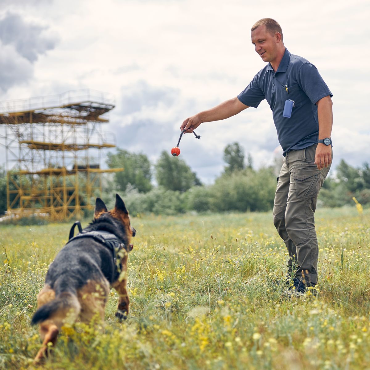 hundeberufe
